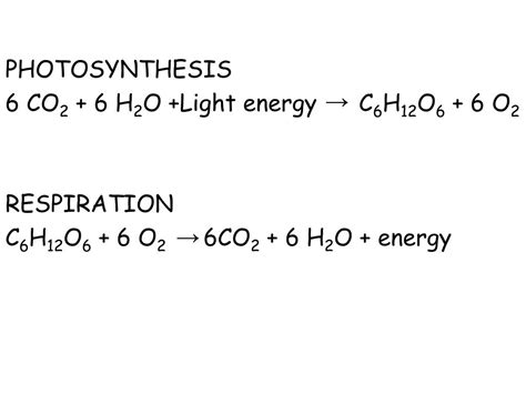 6 co2 + 6 h2o|h2o c6 h12o6 o2.